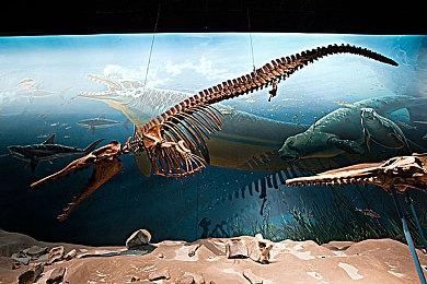 《欢欣森活》Steam试玩发布 中世纪奇幻生活模拟RPG